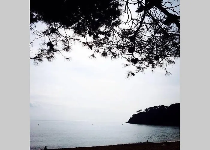 Casita Blanca Con Fibra Optica Y Piscina Cominutaria Σπίτι διακοπών