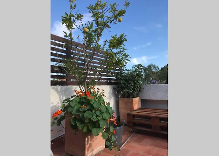 Casita Blanca Con Fibra Optica Y Piscina Cominutaria Σπίτι διακοπών