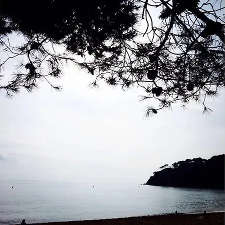 Casita Blanca Con Fibra Optica Y Piscina Cominutaria Vakantiehuis