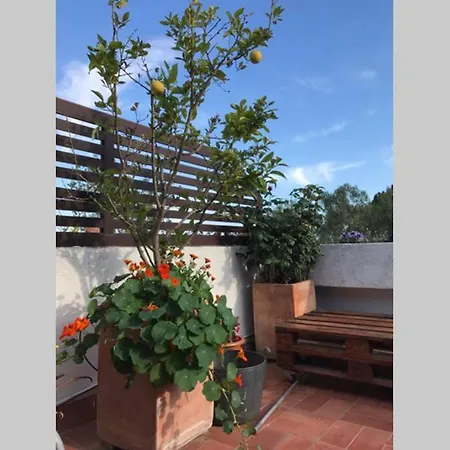 Casita Blanca Con Fibra Optica Y Piscina Cominutaria Vakantiehuis